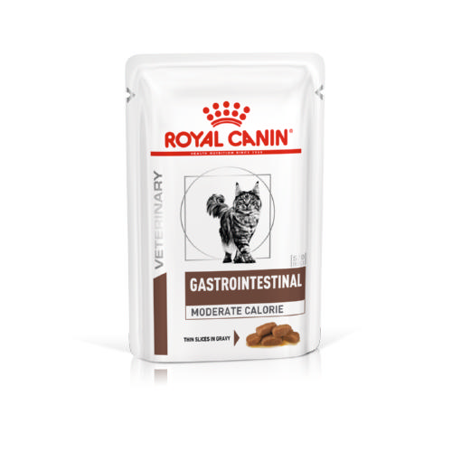 Royal Canin comida húmeda Gastrointestinal image number null